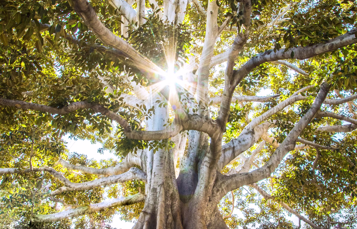 Телесная осознанность онлайн в Краснодар